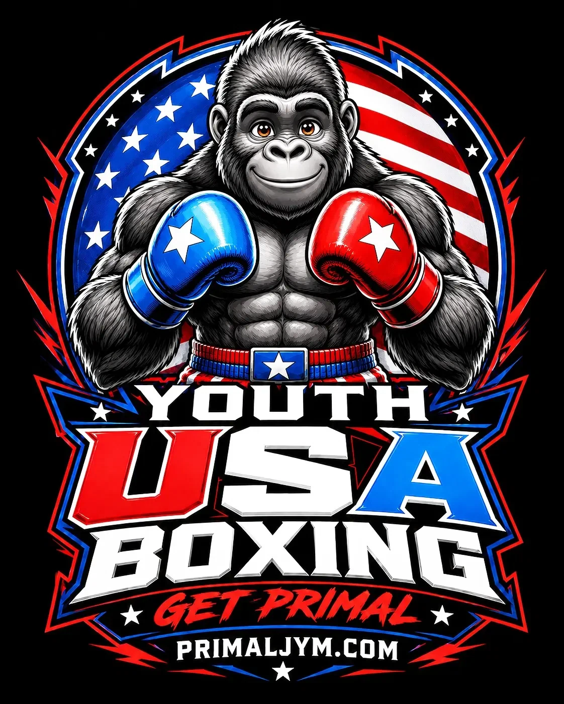 Youth USA Boxing logo badge