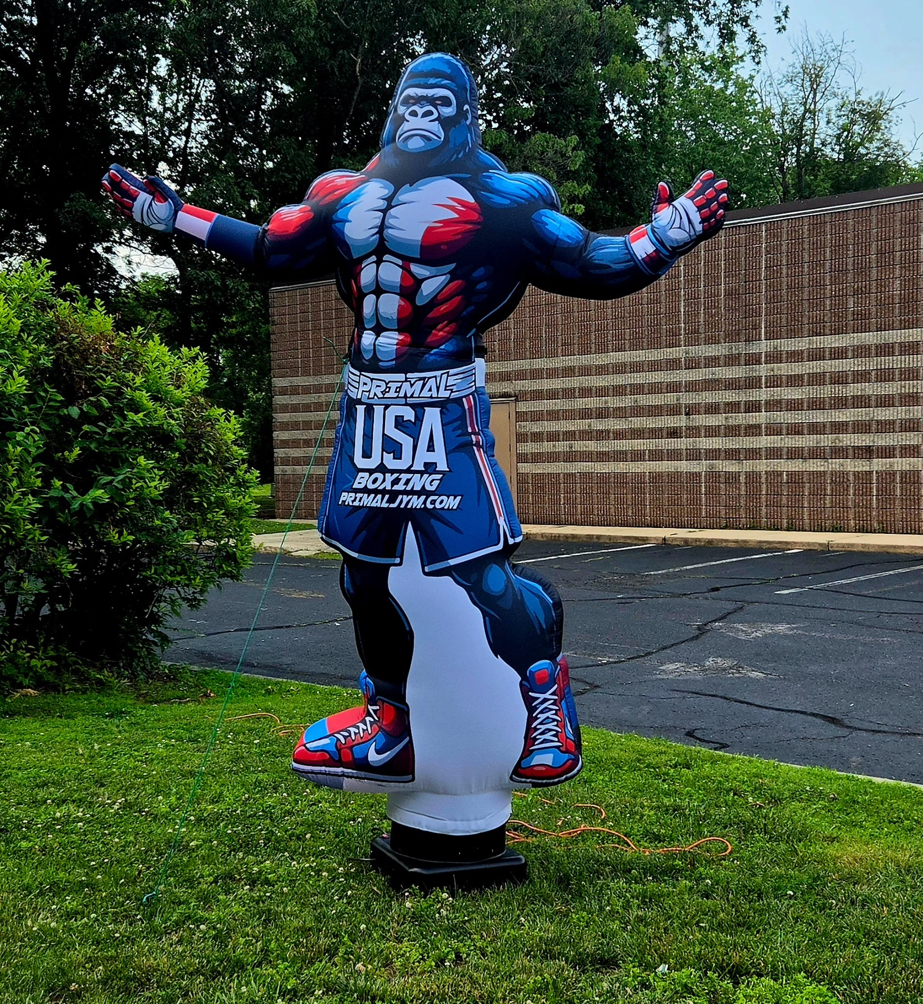 Primal Family outdoor community display with Primal USA Boxing gorilla
