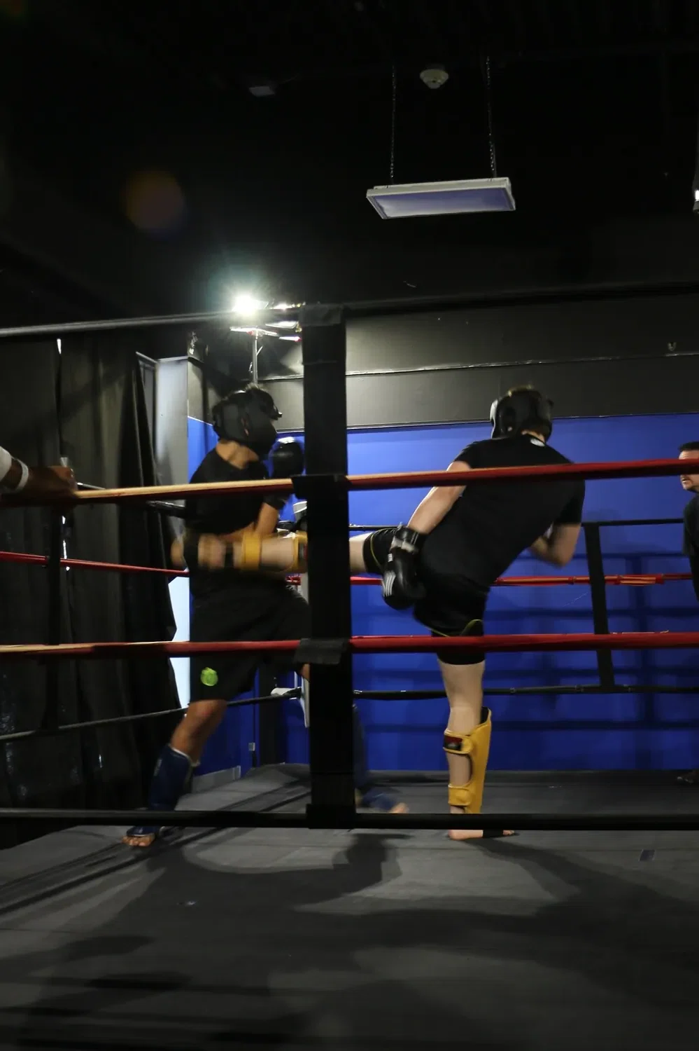 Primal kickboxing sparring action in the ring