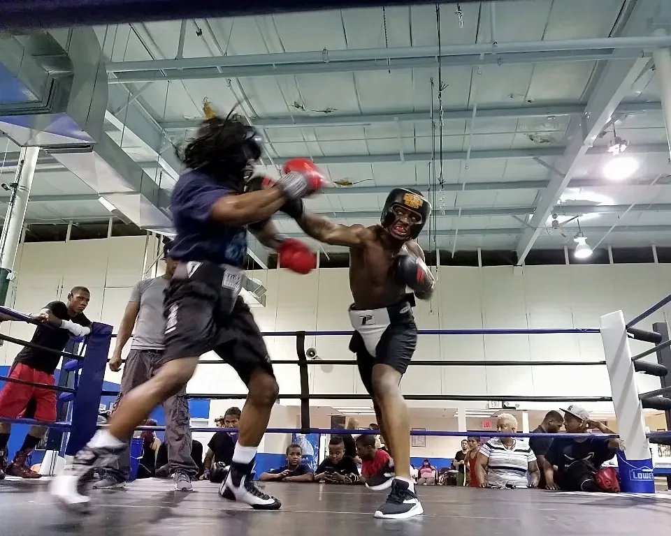 Live Sparring