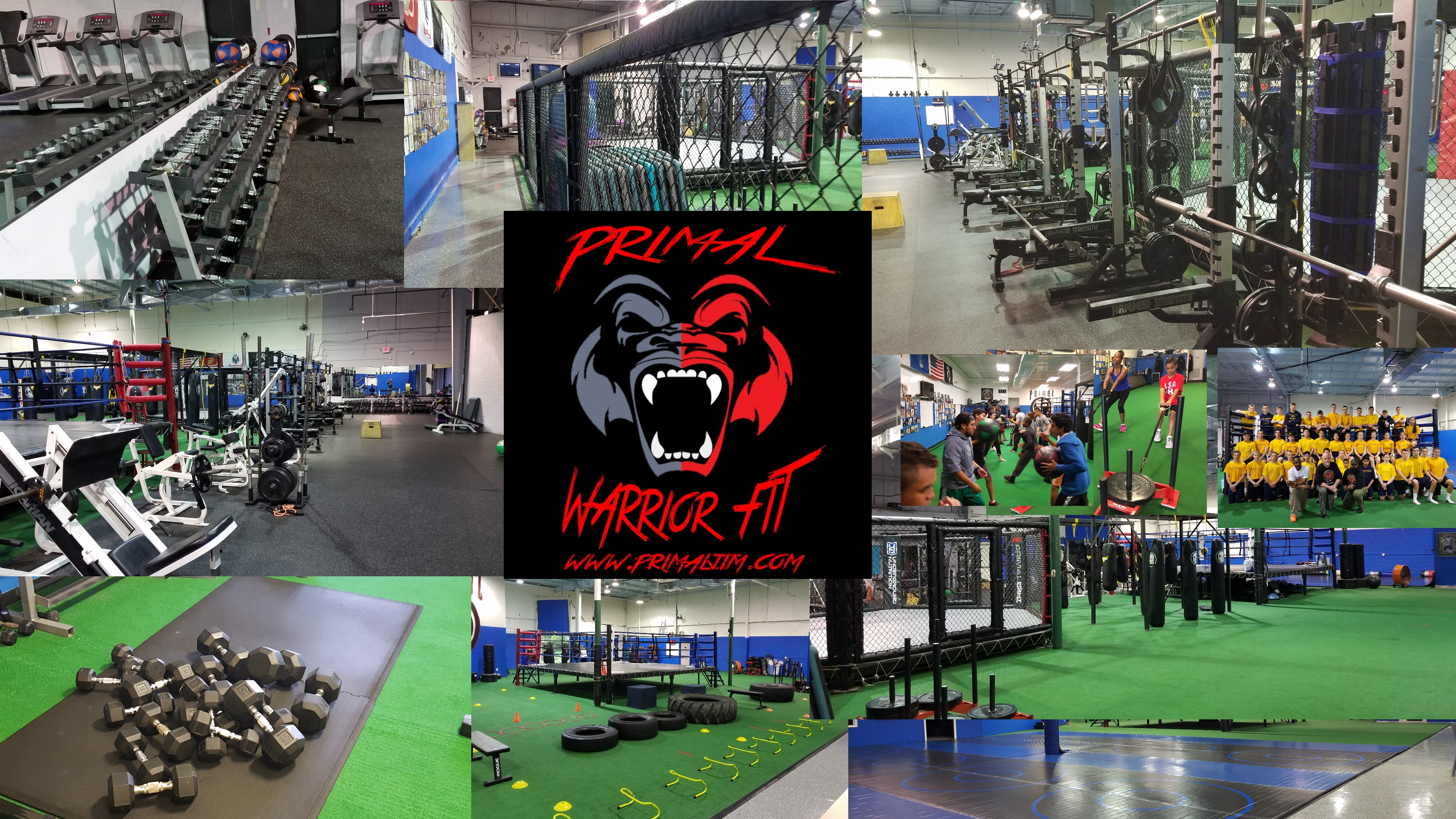 PRIMAL WARRIOR FIT COLLAGE